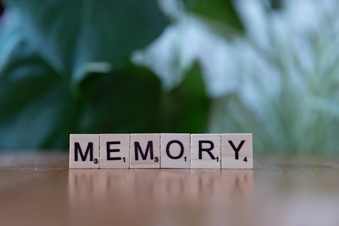 The Science of Long-Term Memory for Study Success